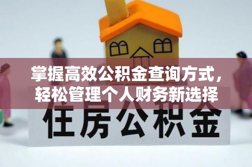 翼城掌握高效公积金查询方式，轻松管理个人财务新选择