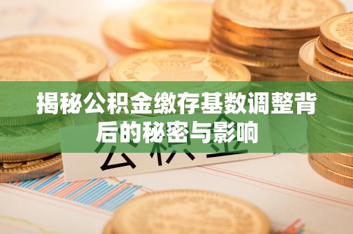 翼城揭秘公积金缴存基数调整背后的秘密与影响