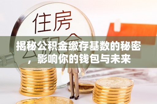 翼城揭秘公积金缴存基数的秘密，影响你的钱包与未来
