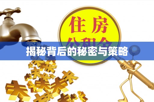 翼城揭秘背后的秘密与策略