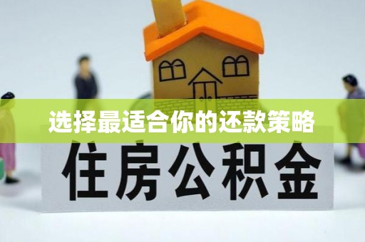 翼城选择最适合你的还款策略